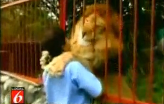 Κολομβία | Λιοντάρι αγκαλιάζει την κτηνίατρο που το έσωσε 