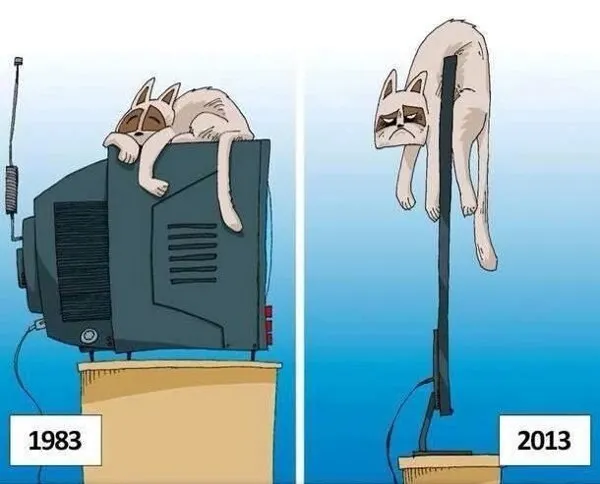 Πώς η τεχνολογία άλλαξε τη ζωή της γάτας!