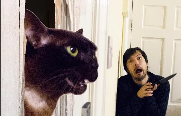 Viral: Αναπαριστά διάσημες σκηνές στον κινηματογράφο με τη γάτα του!