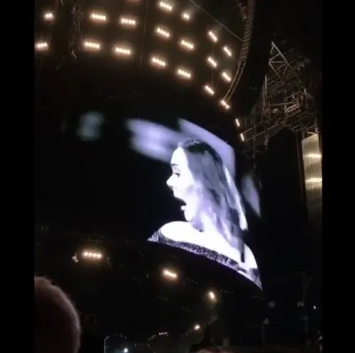 Viral: Όταν η Adele φρίκαρε με ένα κουνούπι on stage! (video)