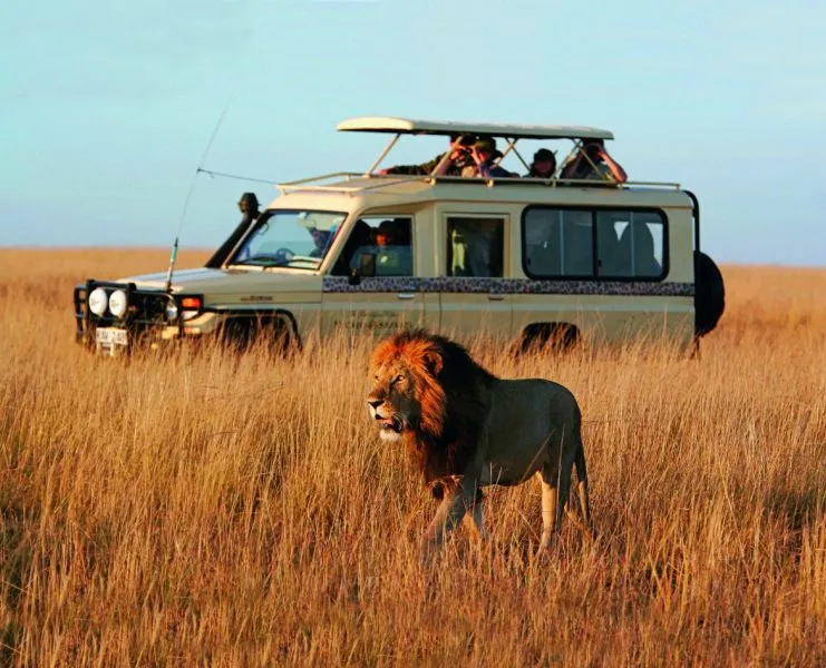 Αν ποτέ βρεθείς σε κάποιο safari trip ΜΗΝ κάνεις αυτή την κίνηση (video)