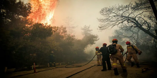 «Κάντε τη στάχτη, δάσος»: Το ψήφισμα που υπογράφουν χιλιάδες πολίτες μετά τη φωτιά στην Αττική!