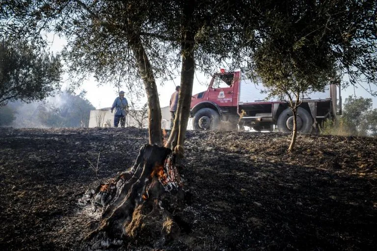ΕΚΤΑΚΤΟ: Φωτιά ξέσπασε στη Ραφήνα - Διεκόπη η κυκλοφορία στη Μαραθώνος