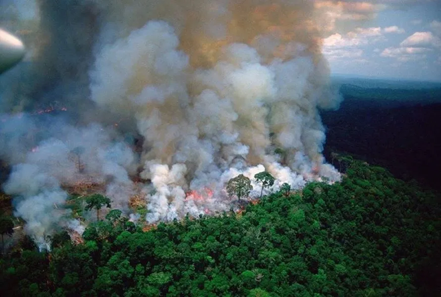 Φωτιά στον Αμαζόνιο: Στη Βραζιλία περισσότερα παιδιά αντιμετωπίζουν αναπνευστικά προβλήματα