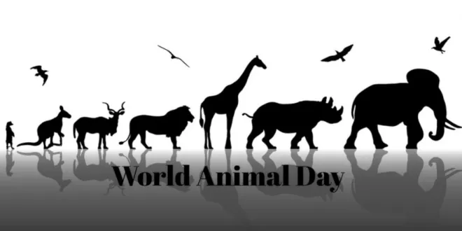 Παγκόσμια Ημέρα Ζώων 2019: Η μέρα που τιμάμε όλα τα ζώα του πλανήτη μας