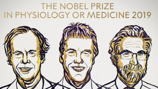Νόμπελ Ιατρικής 2019: Αυτοί είναι οι τρεις επιστήμονες που θα τιμηθούν με το βραβείο