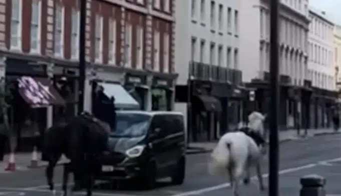 Λονδίνο: Νέο βίντεο δείχνει τα άλογα του στρατού να πέφτουν πάνω σε ποδήλατα